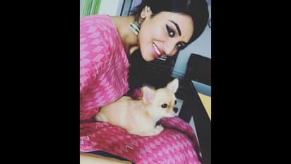 கண்ணில் மை வைத்து ரசிகர்களை ஈர்க்கும் மேயாத மான் இந்துஜா! அம்புட்டு அழகு போங்க!