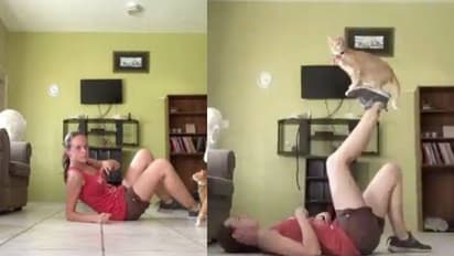 യുവതിയോടൊപ്പം വര്‍ക്കൗട്ട് ചെയ്യുന്ന പൂച്ച; വൈറലായി വീഡിയോ