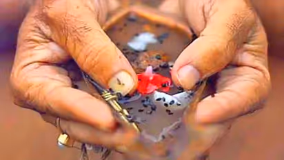 பித்ரு தோஷம் எதனால் ஏற்படுகிறது? இதனால் என்னென்ன விளைவுகள் ஏற்படும்.. பரிகாரம் என்ன?