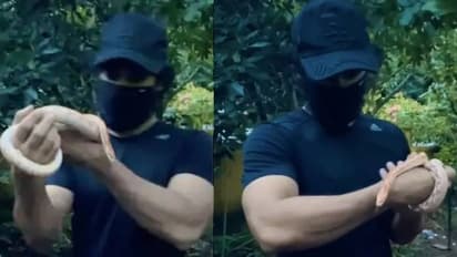 വാവ സുരേഷിന് വെല്ലുവിളിയാകുമോ? മാസ്ക് ധരിച്ച് പാമ്പിൻകുഞ്ഞിനെ ലാളിക്കുന്ന ടൊവീനോ; വീഡിയോ