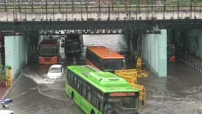 নাগাড়ে বৃষ্টিতে বেহাল দিল্লি, যাতায়াতের জন্য গরুর গাড়িই ভরসা রাজধানীবাসীর, দেখুন ভিডিও