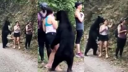 സഞ്ചാരിയായ സ്ത്രീയുടെ തൊട്ടടുത്ത് കരടി, അനങ്ങാതെ നിന്നു; പിന്നീട് സംഭവിച്ചത്...