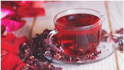 വണ്ണം കുറയ്ക്കണമെന്നുണ്ടോ; ദിവസവും 'ചെമ്പരത്തി ചായ' ശീലമാക്കൂ...