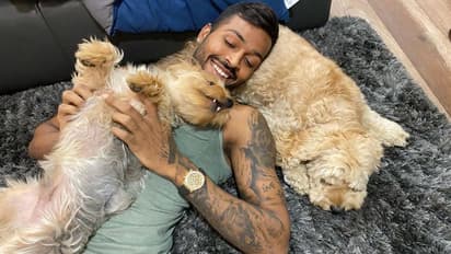 ஹர்திக் பாண்டியாவின் கைக்கடிகாரம்.. சாமானியனின் வாழ்நாள் வருமானத்தைவிட அதிகம்