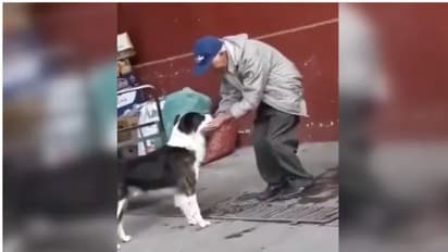 ദാഹിച്ചെത്തിയ തെരുവ് നായയ്ക്ക് വെള്ളം നല്കി വൃദ്ധന്; വീഡിയോ ഏറ്റെടുത്ത് ട്വിറ്റര്