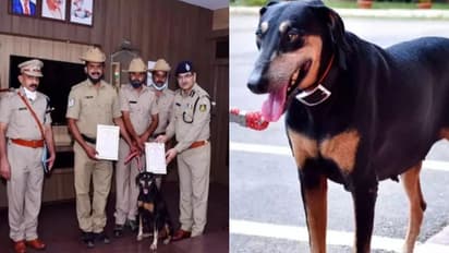 12 किलोमीटर दौड़कर इस डॉग ने हत्यारे को पकड़ा, अद्भुत क्षमता के लिए पुलिस अफसरों ने किया उसका सम्मान