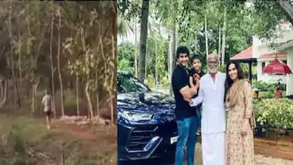 பண்ணை வீட்டில் வாக்கிங்... செம்ம வைரலாகும் சூப்பர் ஸ்டார் ரஜினிகாந்த் வீடியோ...!