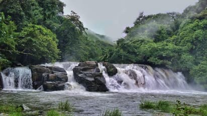 ಜಲಲ ಜಲಧಾರೆ: ಮುಂಗಾರಿಗೆ ಮೈತುಂಬಿ ನಿಂತ ಕೊಡಗಿನ ಜಲಪಾತಗಳು..!