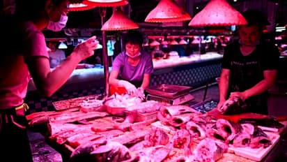 অর্ধেক লিভার খেয়ে ফেলল মাছ থেকে আসা পরজীবী, অস্বাভাবিক খাদ্যাভাসে ফের বিপদ বাড়াচ্ছে চিন