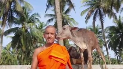 Egg Distribution in School :  ಮೊಟ್ಟೆ ಕುರಿತ ನನ್ನ ಹೇಳಿಕೆಯ ತಿರುಚಲಾಗಿದೆ : ಪೇಜಾವರ ಶ್ರೀ