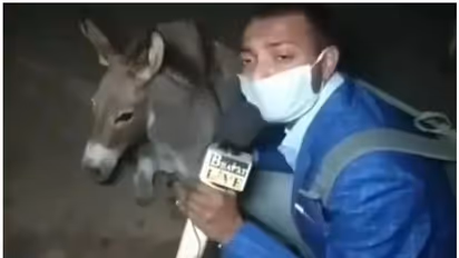 മാസ്ക് ധരിക്കാത്തവർ വിഡ്ഢികൾ; കഴുതകളെ ഇന്റർവ്യൂ ചെയ്ത് മാധ്യമപ്രവർത്തകൻ, വൈറലായി വീഡിയോ