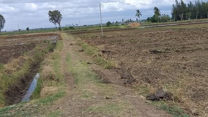 ಗಂಗಾವತಿ: ಭತ್ತ ನಾಟಿಯ ವೇಳೆ ಸಾಮಾಜಿಕ ಅಂತರ ಕಾಪಾಡಿದ ಮಹಿಳೆಯರು..!