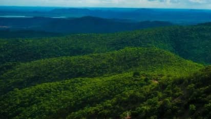 ಕೊರೋನಾ ಅಟ್ಟಹಾಸ: ಕಪ್ಪತ್ತಗುಡ್ಡದ ಕಪ್ಪತ್ತಮಲ್ಲೇಶ್ವರ ಜಾತ್ರೆ ರದ್ದು