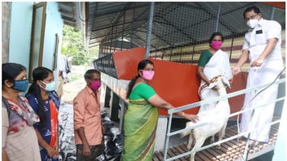 വളര്ത്തുമൃഗങ്ങളുമായി ദുരിതാശ്വാസക്യാമ്പിലേക്ക് പോകണ്ട; പ്രളയത്തെ അതിജീവിക്കും ഈ ആട്ടിന്കൂട്