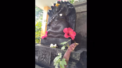 ನಾಗಬನ ಅಪವಿತ್ರ ಖಂಡಿಸಿ ಬಂದ್ : ಆರೋಪಿಗಳ ಬಂಧನಕ್ಕೆ 24 ದಿನ ಗಡುವು