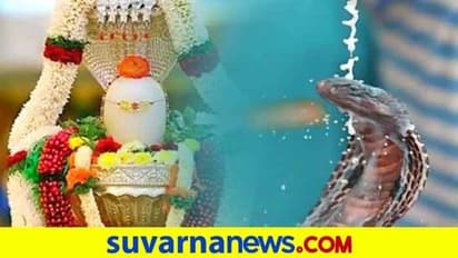 ನಾಗರ ಪಂಚಮಿ ಸಂಭ್ರಮಕ್ಕೆ ಅಡ್ಡಿಯಾದ ಮಹಾಮಾರಿ ಕೊರೋನಾ