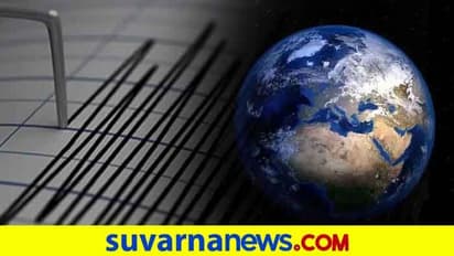 ಲಾಕ್ಡೌನ್ನಿಂದ ಭೂಕಂಪನ ಪ್ರಮಾಣ ಕಡಿಮೆ; ಅಧ್ಯಯನ ವರದಿ ಬಹಿರಂಗ!