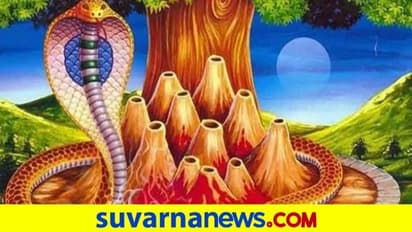 Nag Panchami 2023 ಯಾವಾಗ? ಕಾಳ ಸರ್ಪ ದೋಷವಿರುವವರು ಈ ದಿನ ಹೀಗೆ ಮಾಡಿ..