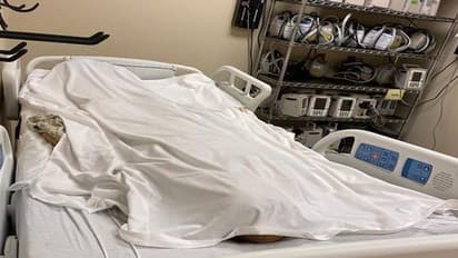 చిత్తూరులో విషాదం: క్వారీ గుంతలో ముగ్గురి మృతదేహలు