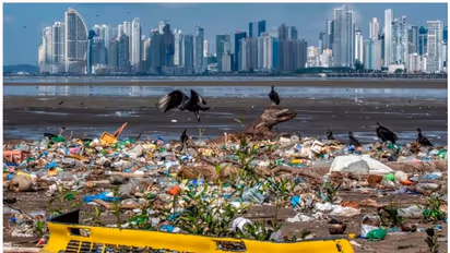 2040 ആകുമ്പോഴേക്കും സമുദ്രത്തിലെ പ്ലാസ്റ്റിക് മാലിന്യങ്ങൾ മൂന്നിരട്ടിയാകും, ഗവേഷണം പറയുന്നത്...