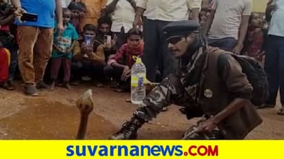 ಬಾಗಲಕೋಟೆ: ಪಂಚಮಿ ದಿನದಂದೇ ನಾಗರ ಹಾವು ಪ್ರತ್ಯಕ್ಷ..!