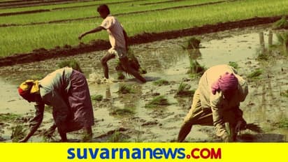 ಭೂ ಸುಧಾರಣಾ ಕಾಯ್ದೆ: ಆಹಾರ ಭದ್ರತೆಗೆ ಪೆಟ್ಟು!