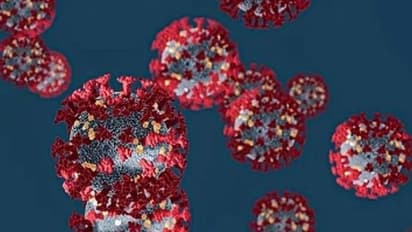 Coronavirus: Cops arrest fake fakir for duping devotees, allegations of media giving it Hindu spin surface