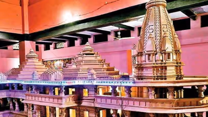 Ram Temple ‘Bhoomi Pujan’ not required amid COVID-19 pandemic: MNS chief Raj Thackeray