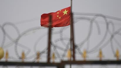 'পাকিস্তানকে দেখে শিখুক নেপাল-আফগানিস্তান', ভারতের বিরুদ্দে লড়াইয়ের নয়া কৌশল নিল চিন