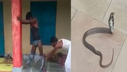 యువకుడి ప్యాంట్ లోకి దూరిన పాము.. ఏడు గంటలపాటు..