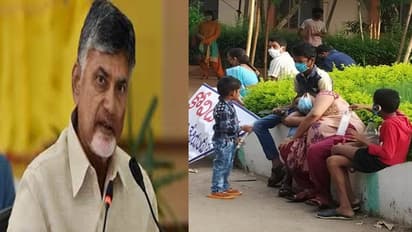 కరోనా ప్రమాదం పొంచివున్నా... నిండు గర్భిణి అగచాట్లు: చంద్రబాబు సీరియస్