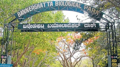 Karnataka zoo authority to launch app for online animal adoption