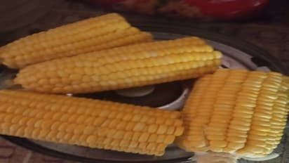 बिना कोयले के गैस पर ही पकाए अंगीठी जैसे भट्टे, ये है बिल्कुल सही तरीका