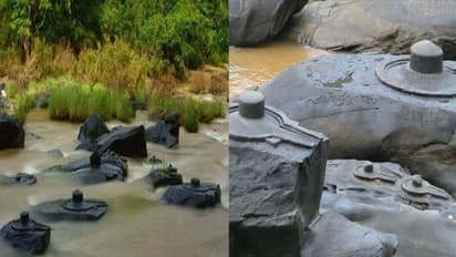 ఫ్యాక్ట్ చెక్: లక్ష శివలింగాల బయల్పడ్డాయంటూ గాలి వార్తలు... అసలు నిజం ఇది