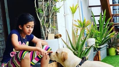 தொகுப்பாளினி அர்ச்சனாவின் கியூட்டான வீட்டை பார்த்திருக்கீங்களா? வாங்க பார்க்கலாம்!