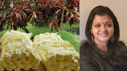 കൊവിഡ് കെയര്‍ സെന്‍ററിലുള്ളവര്‍ക്ക് ഇനി 'ശയ്യ'യിൽ കിടക്കാം; വില കുറഞ്ഞ കിടക്കയുമായി ലക്ഷ്മി മേനോന്‍