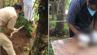 നീലേശ്വരം പീഡന കേസിൽ നിർണായക വഴിത്തിരിവ്; കുഴിച്ചിട്ട ഭ്രൂണം തെളിവെടുപ്പിനിടെ കണ്ടെത്തി