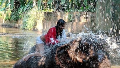இது கிழுச்சி தச்சதா... தச்சிட்டு கிழிச்சதா... சஞ்சனா  டிரஸ் பார்த்து கண்பியுஸ் ஆகும் ரசிகர்கள்!