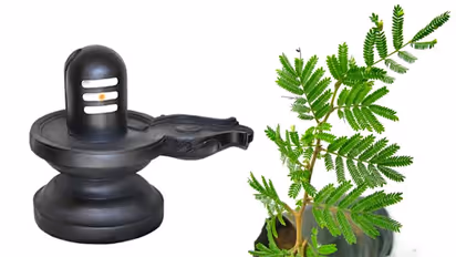 జాతకంలో రాహు, కేతు దోషం ఉందా.. ఇలా చేయండి..!