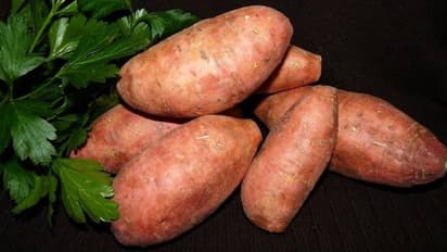sweet potato