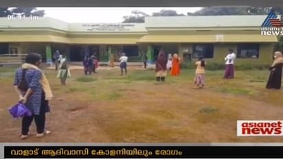 വാളാട് ആദിവാസി കോളനിയിലും കൊവിഡ്: ആന്റിജൻ പരിശോധന തുടങ്ങി