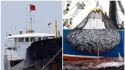 ഇക്വഡോർ തീരത്ത് ചൈനീസ് മത്സ്യബന്ധനക്കപ്പലുകളുടെ തള്ളിക്കയറ്റം, അതീവജാഗ്രതയിൽ കോസ്റ്റ് ഗാർഡ്