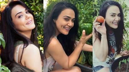 'അഭിമാനം, അമ്മയ്ക്ക് നന്ദി'; അടുക്കളത്തോട്ടത്തിൽ നിന്നുള്ള വീഡിയോ പങ്കുവച്ച് പ്രീതി സിന്റ