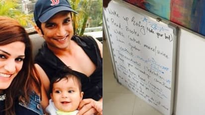 কী কী কাজ অসম্পূর্ণ রয়ে গেল সুশান্তের, দেখে নিন প্ল্যানিং বোর্ডের আগামীর পরিকল্পনা