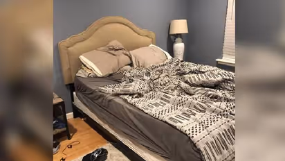 ഈ ചിത്രത്തില് ഒളിച്ചിരിക്കുന്ന നായ്ക്കുട്ടിയെ പെട്ടെന്ന് കണ്ടെത്താമോ?