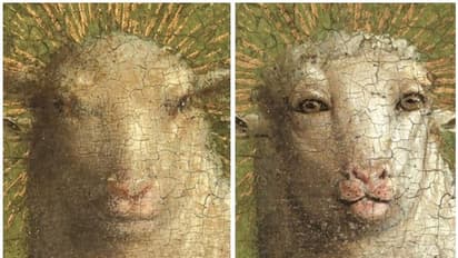 ശരിക്കും ആ ആട്ടിന്‍കുട്ടിക്ക് മനുഷ്യന്‍റെ മുഖവുമായി സാമ്യമുണ്ടോ? പുതിയ പഠനം പറയുന്നത്...