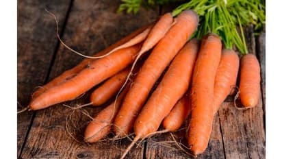 ಬೇಯಿಸಿದ ಕ್ಯಾರೇಟ್ ಒಳ್ಳೆಯದೋ, ಹಸಿಯದ್ದು ತಿಂದ್ರೆ ಪೌಷ್ಠಿಕಾಂಶ ಹೆಚ್ಚೋ?