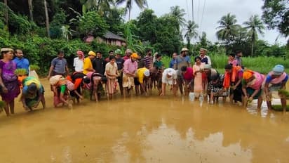 ಕೆಸರು ಗದ್ದೆಯಲ್ಲಿ RSS ಮುಖಂಡ ಕಲ್ಲಡ್ಕ ಪ್ರಭಾಕರ್ ಭಟ್..! ನೇಜಿ ನೆಡೋ ಚಂದ ನೋಡಿ
