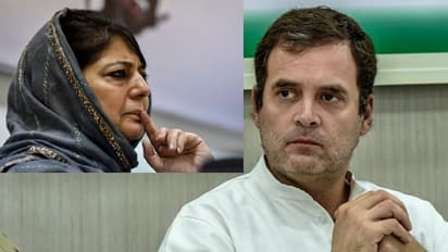 রাহুল গান্ধীর 'দৈনিক আক্রমণে' এবার মেহবুবা মুফতির প্রসঙ্গ, বললেন ক্ষতিগ্রস্ত হচ্ছে দেশের গণতন্ত্র