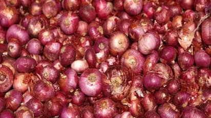 ಬೆಲೆ ಏರಿದ್ರೂ ರೈತರ ಕಣ್ಣಲ್ಲಿ ನೀರು ತರಿಸುತ್ತಿರುವ ಈರುಳ್ಳಿ